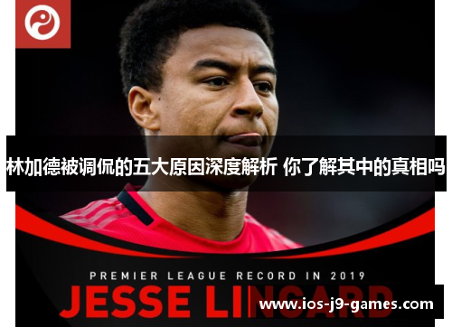 林加德被调侃的五大原因深度解析 你了解其中的真相吗 林加德被调侃的五大原因深度解析 你了解其中的真相吗